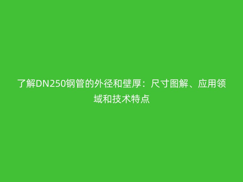 了解DN250鋼管的外徑和壁厚:尺寸圖解、應(yīng)用領(lǐng)域和技術(shù)特點(diǎn)